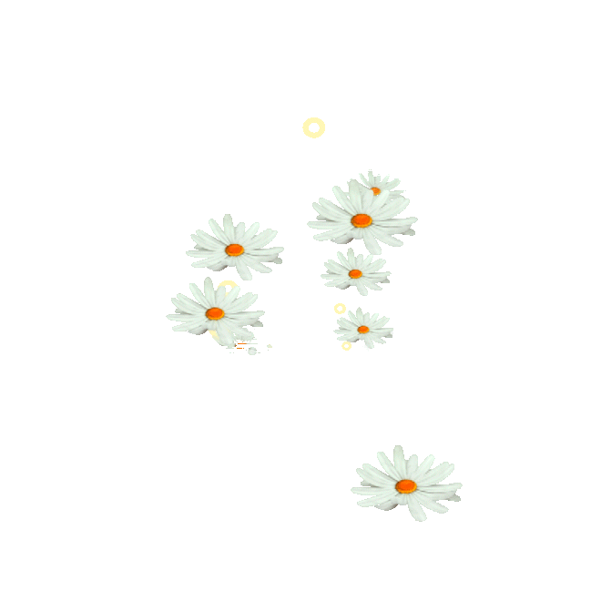 Fleurs animées 2