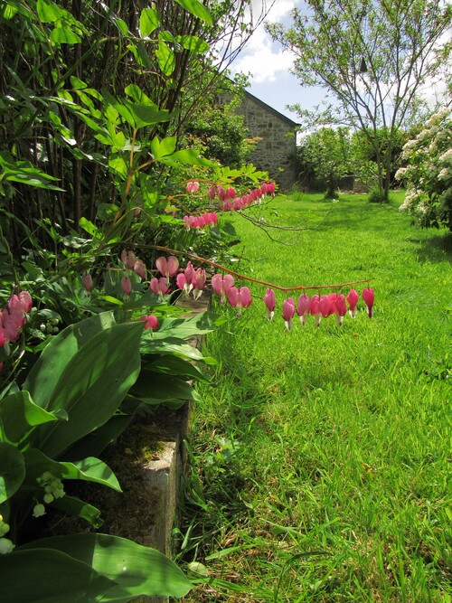 Balade au jardin