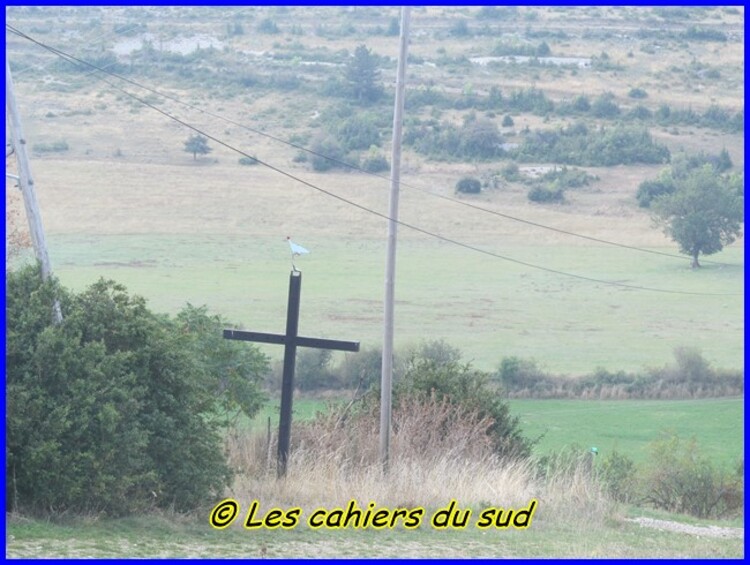 Gorges du Tarn, de Ste Enimie à Castelbouc