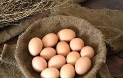 雞蛋並非越“土”越營養