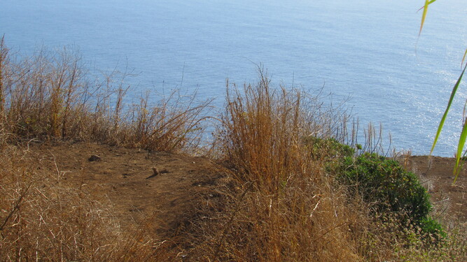 Île de Madère ( 2)