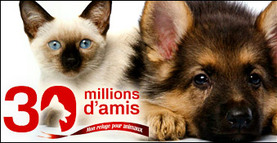 30 Millions d'Amis ♥