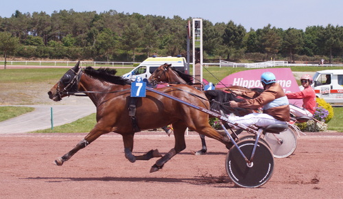 Hippodrome de la Baie Yffiniac - Réunion du 1er Juin 2014