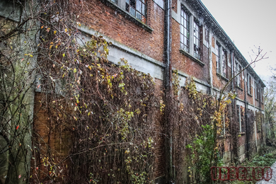 Fabbrica del diluvio