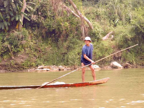 LAOS Eléphants