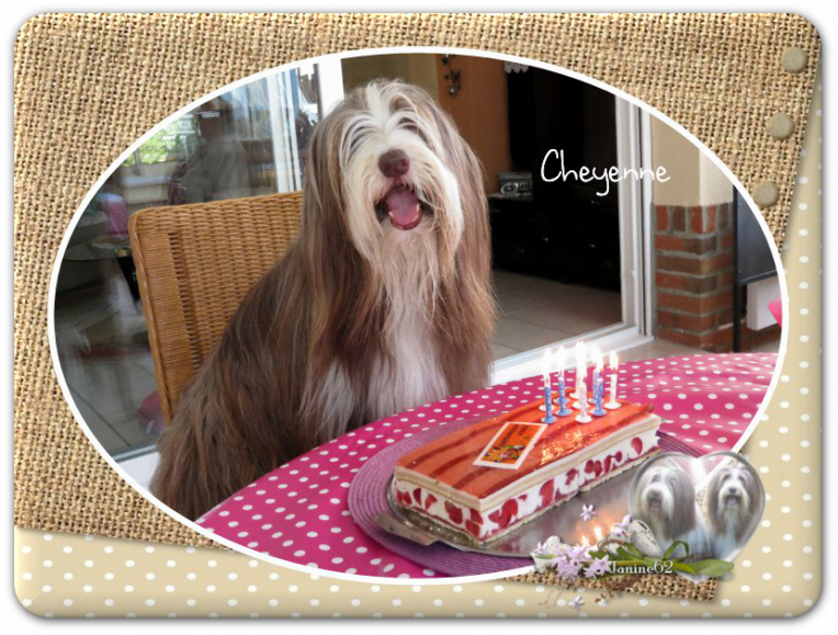 ♥ Athos fête ses 10 ans ♥