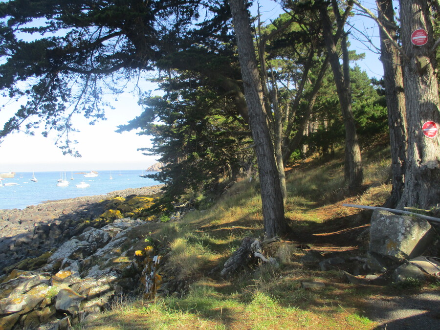 PLOUGASNOU EN BRETAGNE DANS LE FINISTERE    (5)