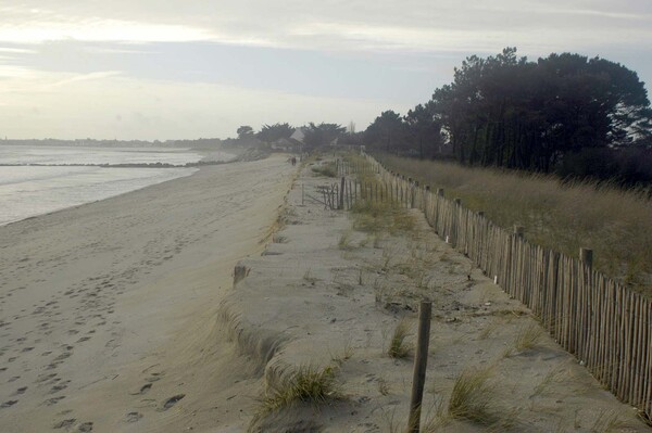 Dunes du Treustel : 2 janvier 2014