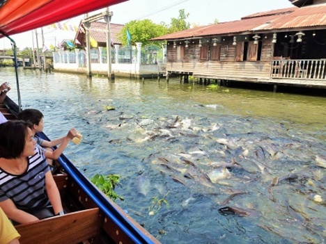 Nourrir les poissons