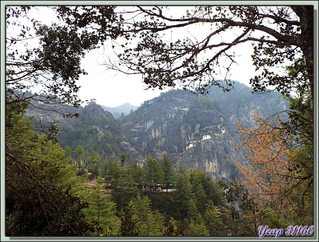 Blog de images-du-pays-des-ours : Images du Pays des Ours (et d'ailleurs ...), Demain je vous accompagnerai vers le haut perché Taktsang "Tanière du Tigre" (Tiger Nest) - Bhoutan