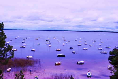 le lac de carcan maubuisson