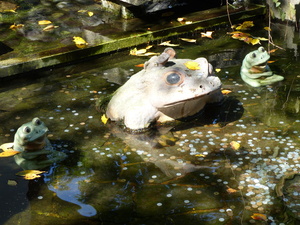 Fontaine grenouille (y jeter des pièces porte bonheur)