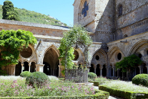Abbaye de Fontfroide : le cloître (4)