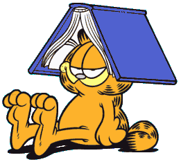 Image result for GIF GAGNANT