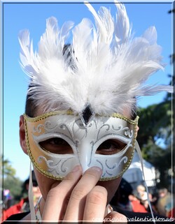 Carnaval de Nice 2014 (1)