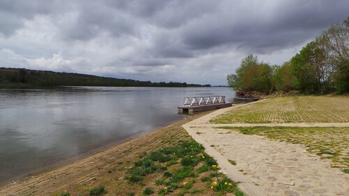 Les bords de Loire (fin).