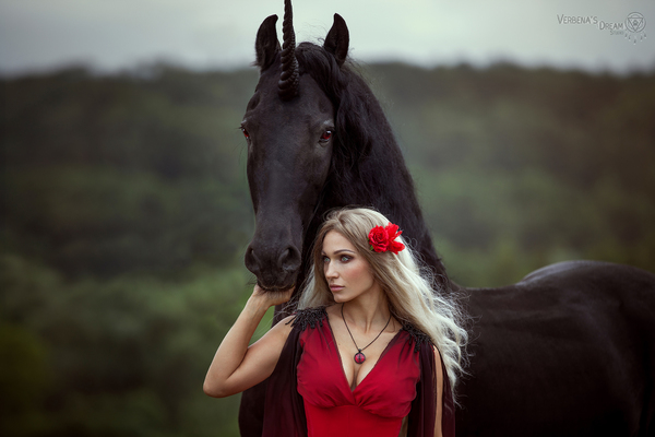 La belle dame et la licorne noire