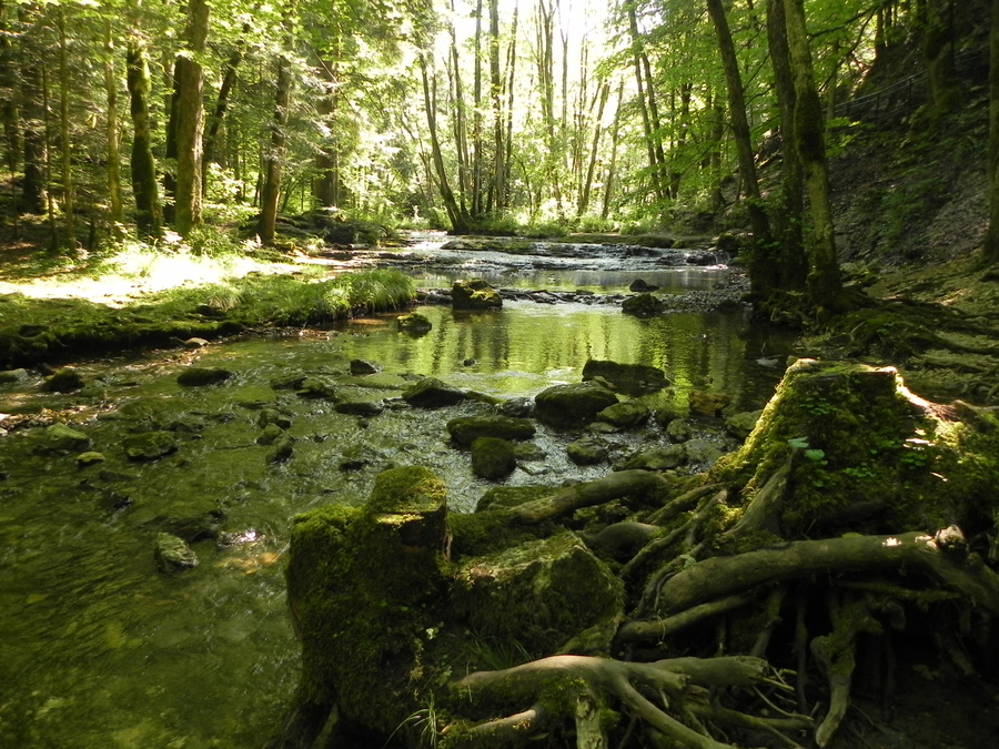 le saut du château Garnier dans le Jura