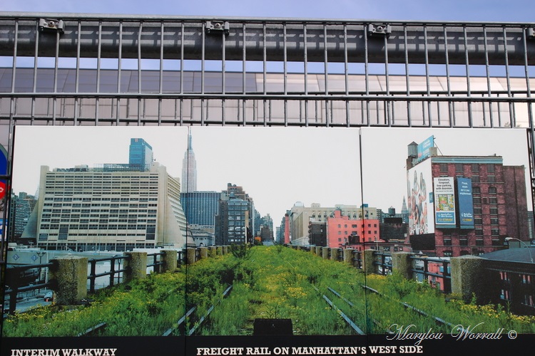 New York : The High Line 2/2