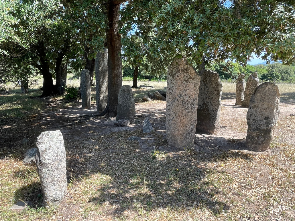Site mégalithique de Cauria - Alignement de Rinaghju - Sartene (2)