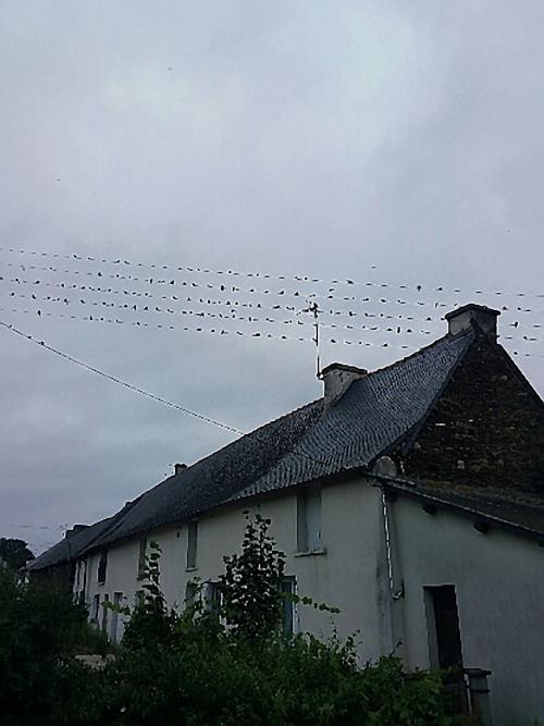 Rassemblement à Gourhel