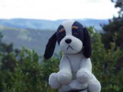 mascotte en montagne