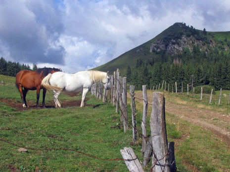 Comme les cailloux du Petit Poucet GR.30 Tour des lacs d'Auvergne : Etape 4 Besse-en-Chandesse - Compains - 20 Km