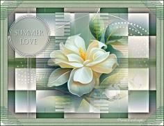 Summer Love chez Elizabeth