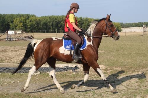 - Ma première sortie avec Cheyenne aux Templiers (perso)