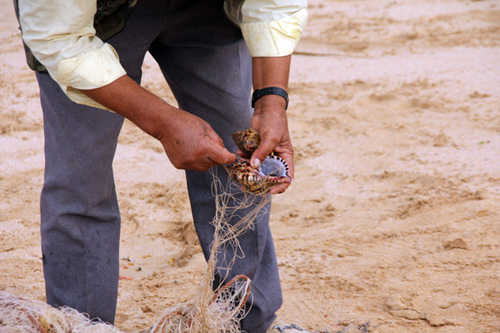 D'Essaouira à 