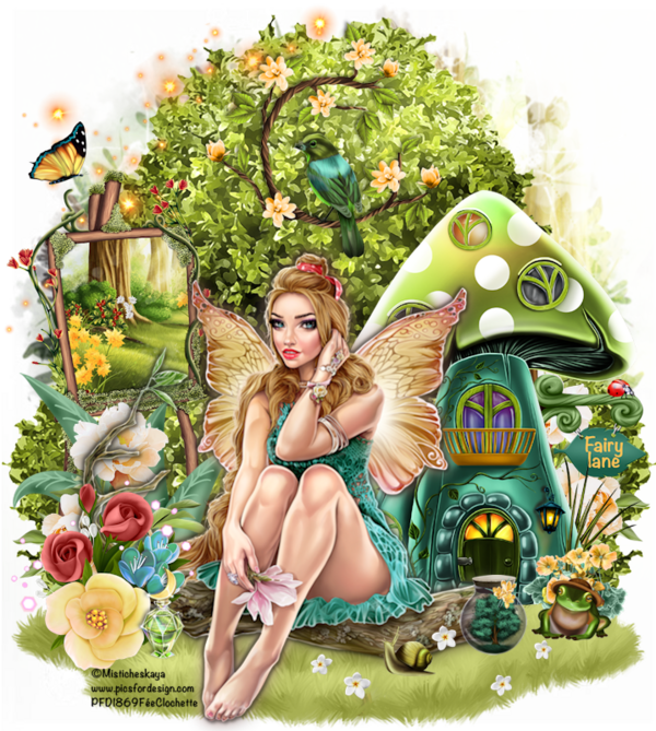 Fairy