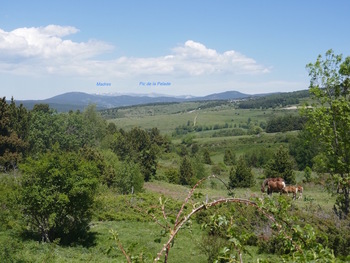 La Coma de la Pica del Quer. Au fond, le massif Madres-Pelade