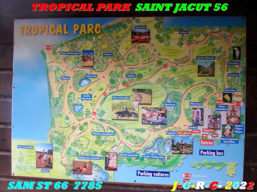 TROPICAL PARK  SAINT JACUT 56  6/10  D  02-03-2023