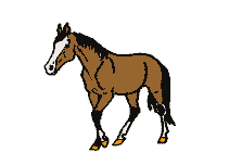 cheval4