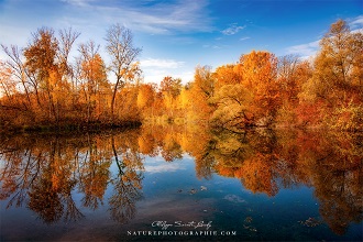 Couleurs d'automne ... 