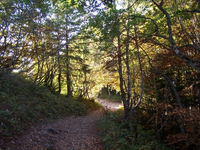 Fort Croix du Nivolet