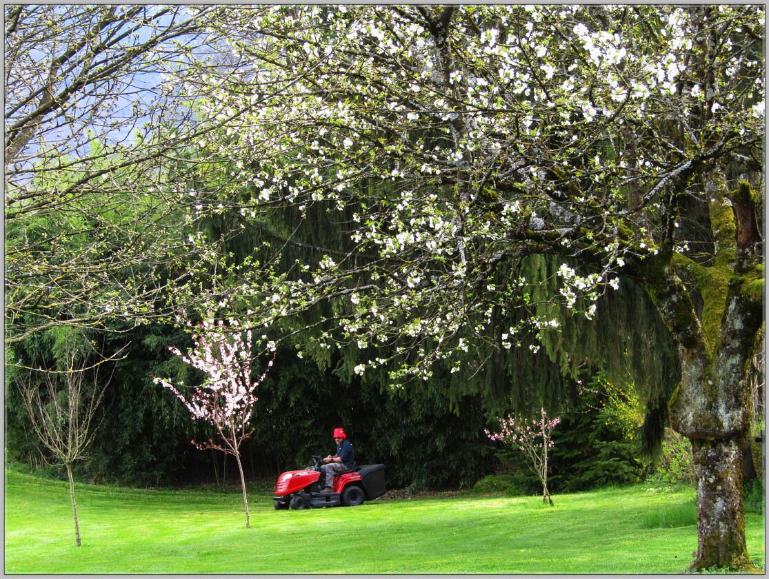 LA PREMIERE COUPE DE PRINTEMPS 