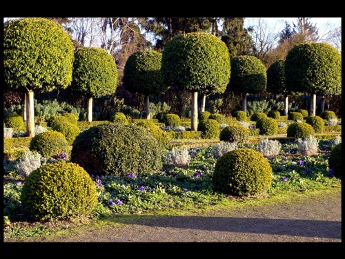 Jardin à la française I