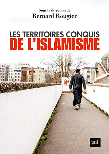Les Gaulois sont dans la plaine : assez parlé, des actes et vite ...
