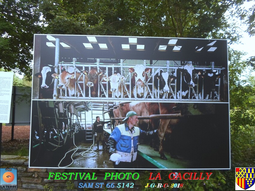 FESTIVAL  PHOTO  2018  LA  GACILLY      D   30/08/2018    2/2