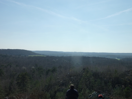 Balade en forêt