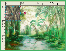 Forêt tropicale