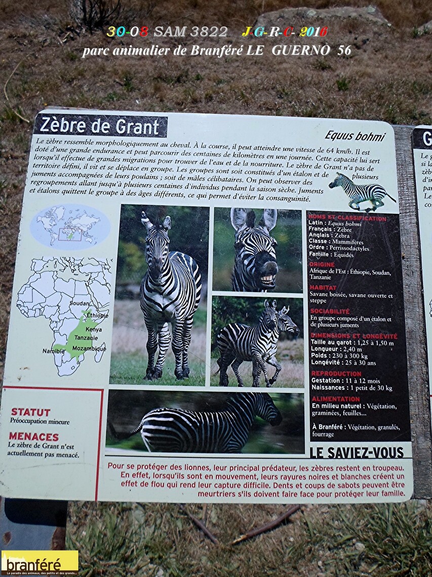 PARC ANIMALIER DE BRANFERE  56190  LE  GUERNO            D   01/04/2017