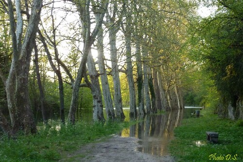 Que d'eau, que d'eau à Châtillon sur Seine en mai 2013...