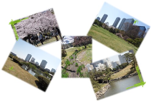 Mardi 31 mars 2015 – A la découverte de Tokyo