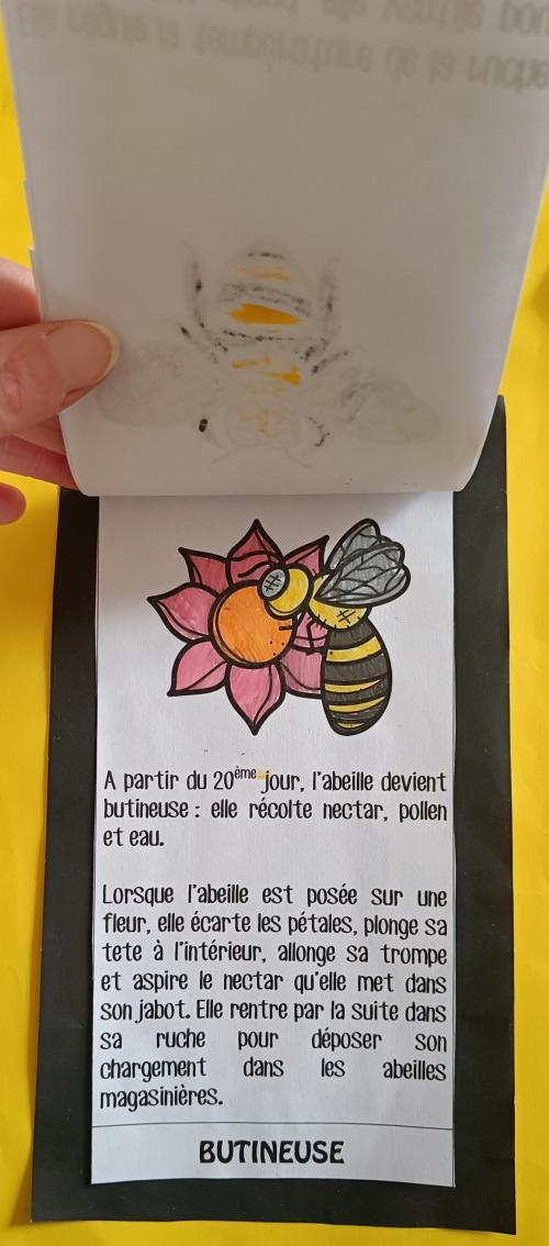 les abeilles