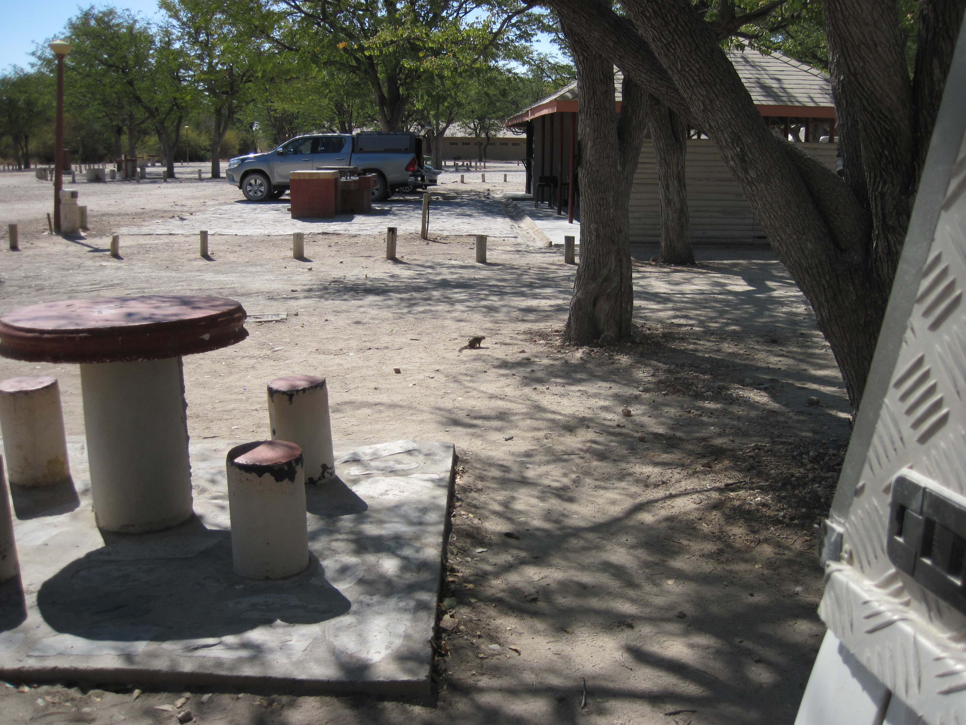Parc d'Etosha Hallali