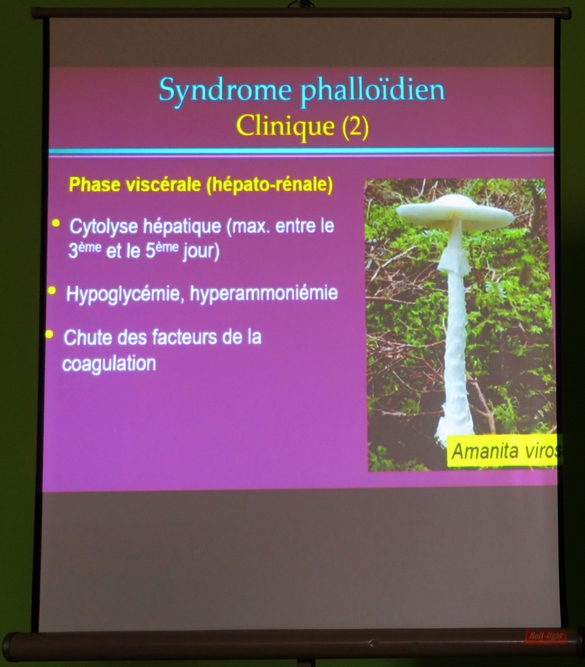 La conférence sur "Les empoisonnements célèbres par les champignons", a eu un beau succès.