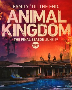 Animal Kingdom 6