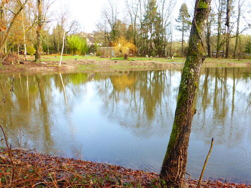 - Etang bientôt plein - Autruches et girafes -